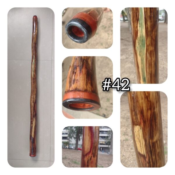 DIDGERIDOO #42