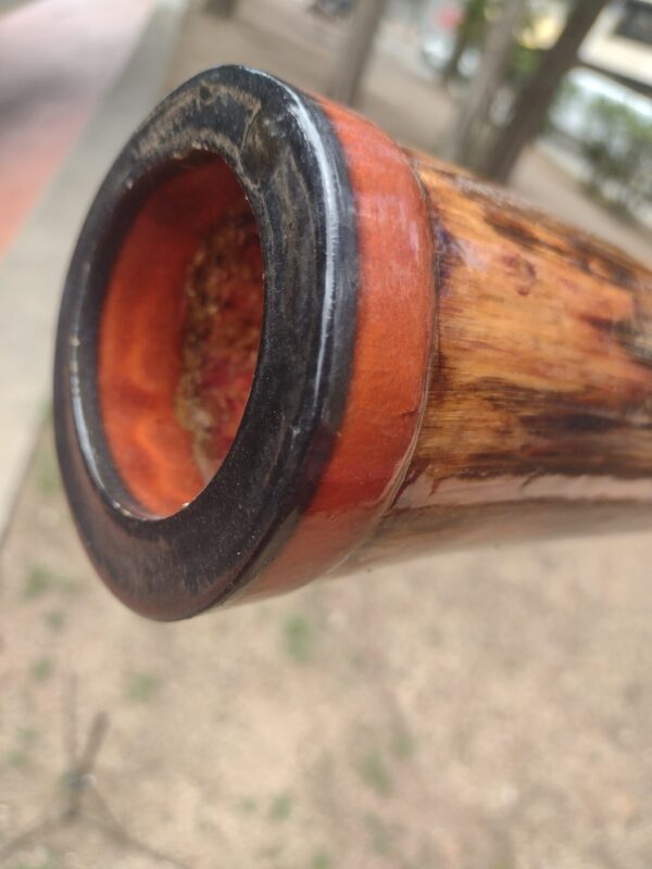 DIDGERIDOO #42 - Image 3