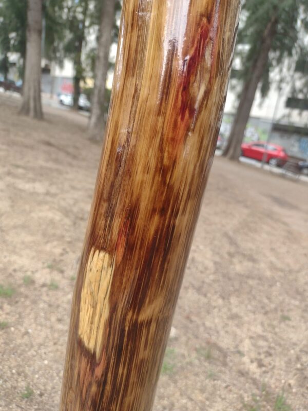 DIDGERIDOO #42 - Image 5