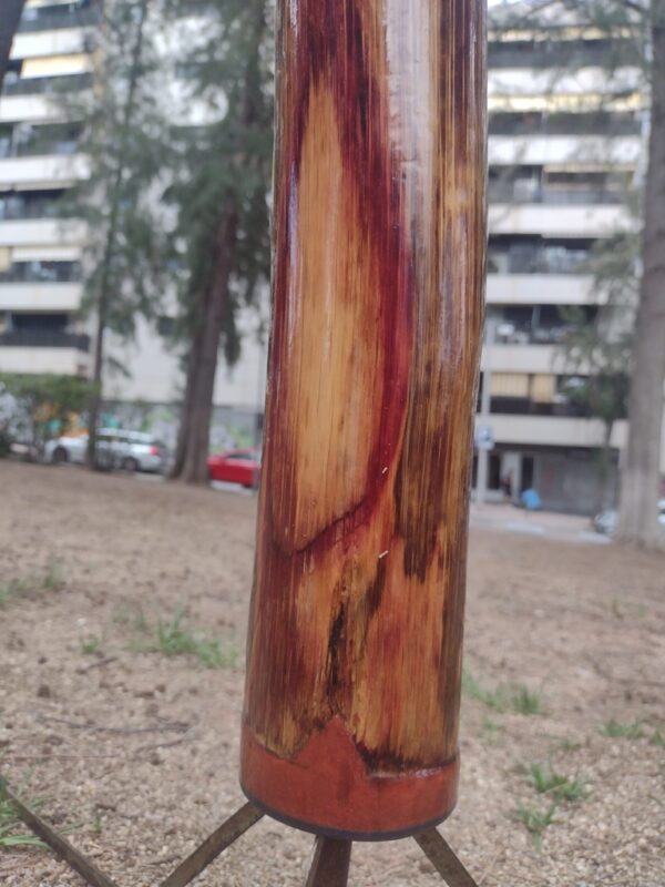 DIDGERIDOO #42 - Image 6