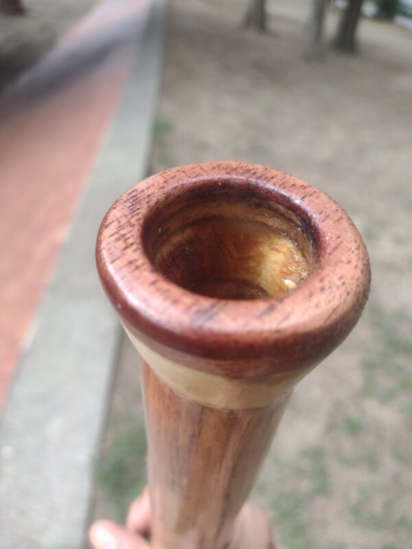 DIDGERIDOO #45 - Image 3