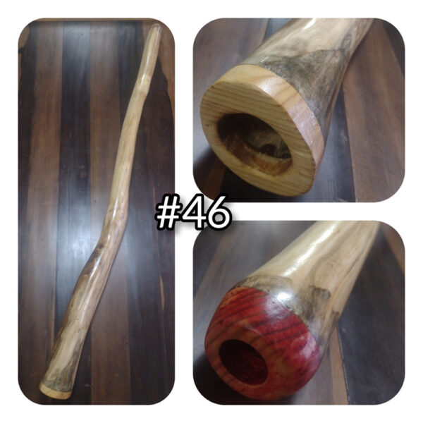 DIDGERIDOO #46