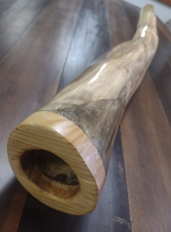 DIDGERIDOO #46 - Image 3