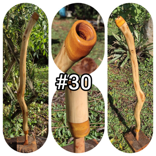 DOUBLE DIDGERIDOO #30