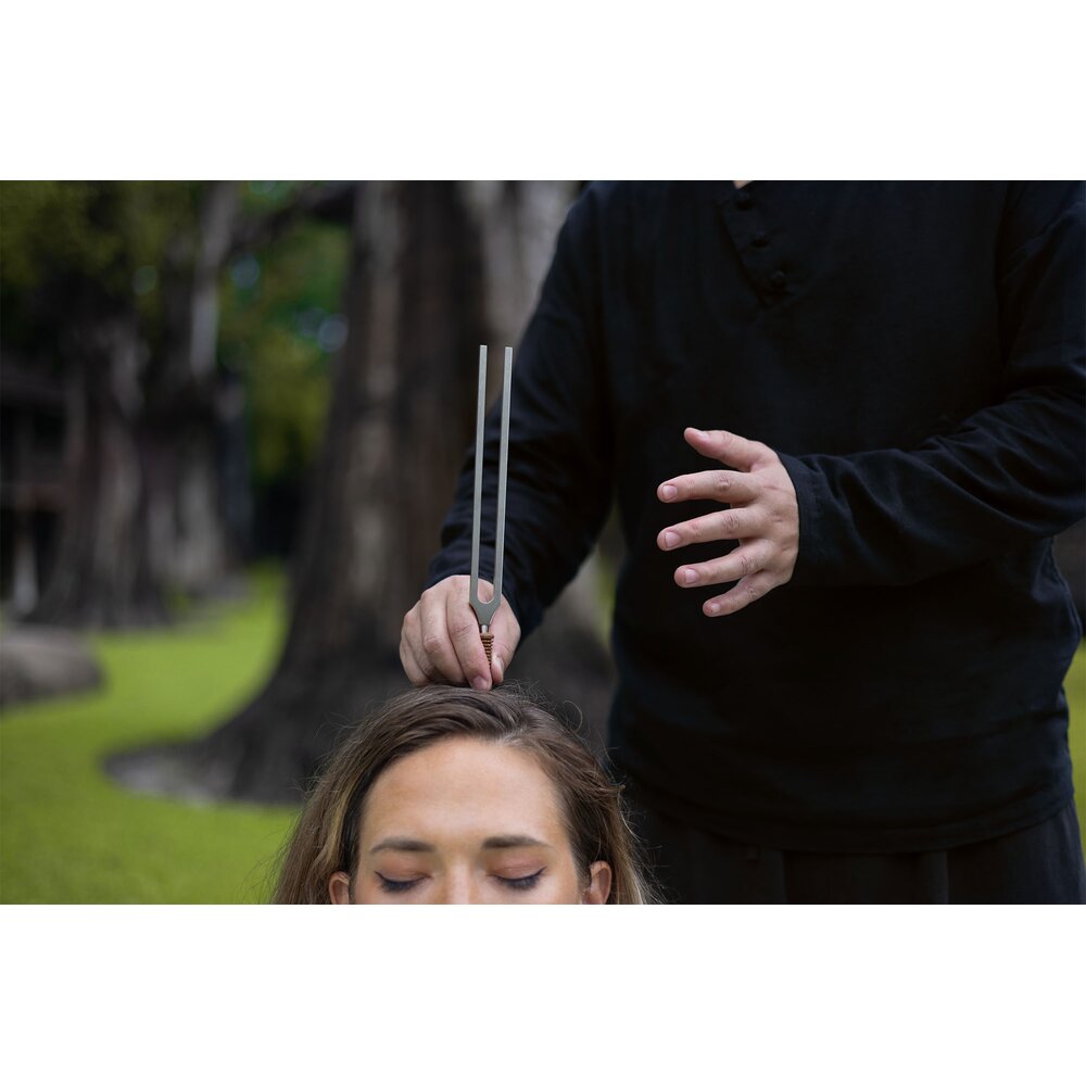 TCM THERAPY TUNING FORK SET YIN & YANG, 2 PCS, INCL. HOLDER - Imagem 5